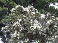 Albums/20060200-New Zealand 2006/20060212-south/24